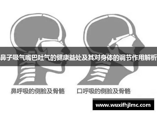 鼻子吸气嘴巴吐气的健康益处及其对身体的调节作用解析